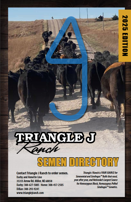 Simmental & Angus I 35355 Arrow Road, Miller NE 68858