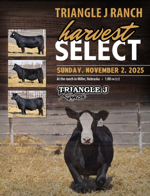 Simmental & Angus I 35355 Arrow Road, Miller NE 68858